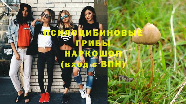 эйфоретик Покачи