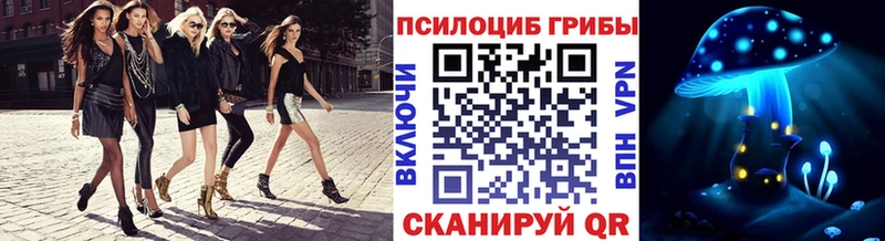 hydra как зайти  Шебекино  Псилоцибиновые грибы прущие грибы 