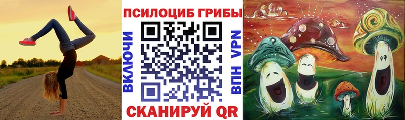 Псилоцибиновые грибы GOLDEN TEACHER Шебекино